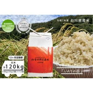 ふるさと納税 【12ヶ月定期便】【お米番付優秀賞受賞農家】日本一粒の大きいお米『いのちの壱』玄米10kg×12回 石川県金沢市