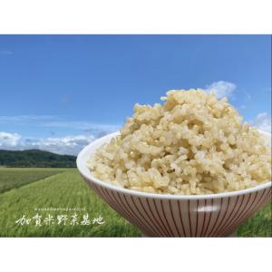 ふるさと納税 【12ヶ月定期便】【お米番付優秀...の詳細画像2