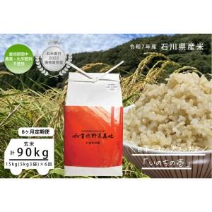 ふるさと納税 【6ヶ月定期便】【お米番付優秀賞受賞農家】日本一粒の大きいお米『いのちの壱』玄米15kg×6回 石川県金沢市