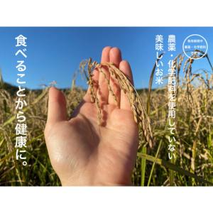 ふるさと納税 【6ヶ月定期便】【お米番付優秀賞...の詳細画像1