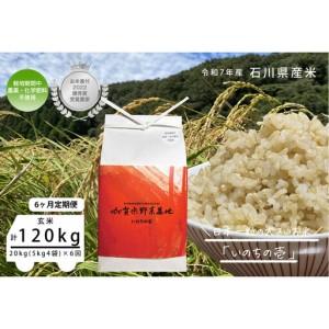 ふるさと納税 【6ヶ月定期便】【お米番付優秀賞受賞農家】日本一粒の大きいお米『いのちの壱』玄米20kg×6回 石川県金沢市