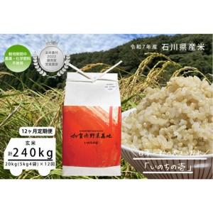 ふるさと納税 【12ヶ月定期便】【お米番付優秀賞受賞農家】日本一粒の大きいお米『いのちの壱』玄米20kg×12回 石川県金沢市