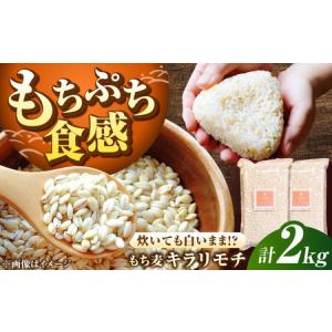ふるさと納税 もち麦 キラリモチ 2kg(1kg...の商品画像