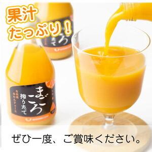 ふるさと納税 ZE6179n_「まごころ」有田みかん 100％ ジュース 1000ml 6本 セット...