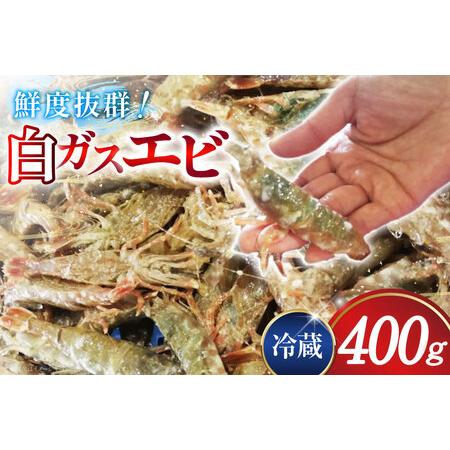 ふるさと納税 極上激甘！白ガスエビ 冷蔵 400g [小川水産 石川県 志賀町 CM6004] 石川...