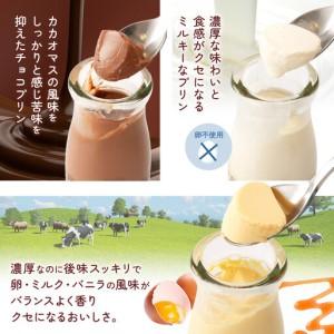 ふるさと納税 贅沢くちどけプリン&濃厚生チョコ...の詳細画像1