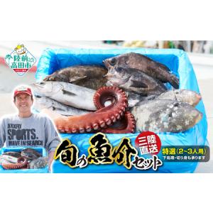 ふるさと納税 【朝獲れ直送！】 鮮魚セット(2〜3人用) 下処理済み 三陸水揚げ旬のお魚 冷蔵 鮮魚 刺身 海藻 貝 岩手県陸前高田市