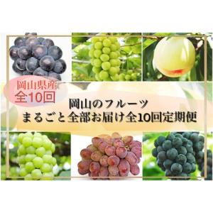 ふるさと納税 Bm-1【令和8年発送・先行予約】岡山のフルーツまるごと全部お届け全10回定期便 岡山県和気町