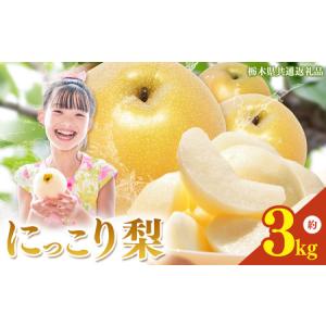 ふるさと納税 栃木県産梨 にっこり 3kg 栃木県真岡市