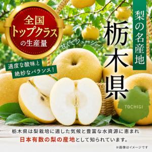ふるさと納税 栃木県産梨 にっこり 3kg 【...の詳細画像1