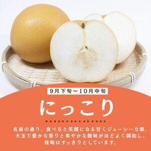 ふるさと納税 栃木県産梨 にっこり 3kg 【...の詳細画像2