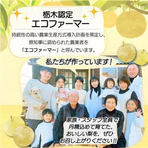 ふるさと納税 栃木県産梨 にっこり 3kg 【...の詳細画像3