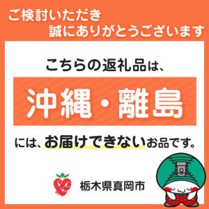 ふるさと納税 栃木県産梨 にっこり 3kg 【...の詳細画像4