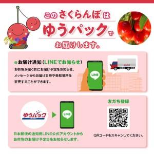 ふるさと納税 先行受付 北海道 仁木町産 さく...の詳細画像3