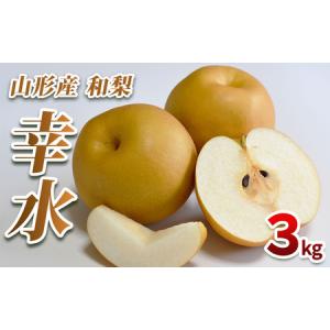ふるさと納税 山形産 和梨(幸水)3kg(6〜9玉)【令和8年産先行予約】FS25-079 山形県山形市