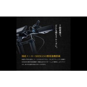 ふるさと納税 電動アシスト自転車 COSWHE...の詳細画像2