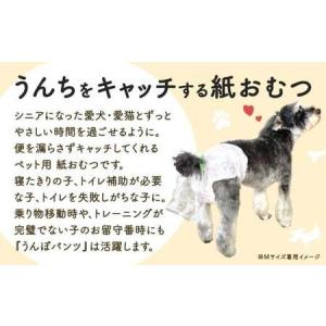 ふるさと納税 うんぽパンツ Sサイズ 100個...の詳細画像1