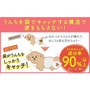 ふるさと納税 うんぽパンツ Sサイズ 100個...の詳細画像2