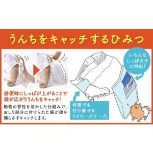 ふるさと納税 うんぽパンツ Sサイズ 100個...の詳細画像3
