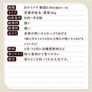 ふるさと納税 植木 白ヤマブキ 0.9m 山梨...の詳細画像2