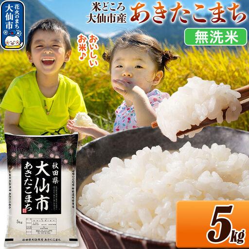 ふるさと納税 米 あきたこまち【無洗米】米どころ秋田県大仙市産 令和7年産 精米 5kg（5kg×1...