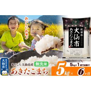 ふるさと納税 米《定期便6ヶ月》あきたこまち【無...の商品画像