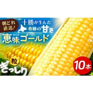 ふるさと納税 朝もぎとうもろこし 10本[BEAA003] 北海道足寄町