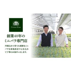 ふるさと納税 【母の日】バラ 花鉢 6号 ピエ...の詳細画像4