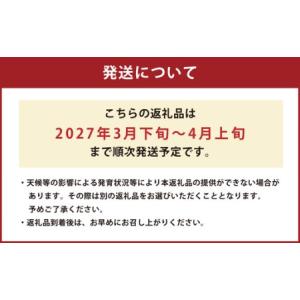 ふるさと納税 熊本県産 すいか 春のだんらん ...の詳細画像1