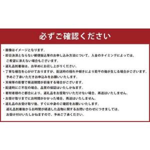 ふるさと納税 熊本県産 すいか 春のだんらん ...の詳細画像2