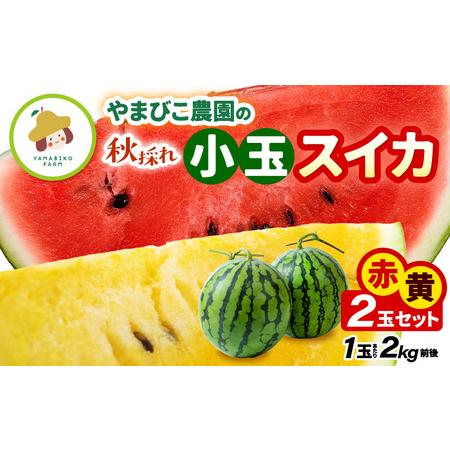 ふるさと納税 【先行予約】やまびこ農園の秋の赤と黄の小玉スイカ 食べ比べセット 合計2玉入り (1玉...