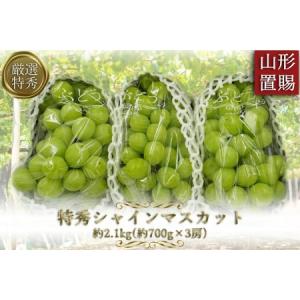 ふるさと納税 山形産 シャインマスカット 秀 約5kg 【令和7年産 ふるさと納税 山形産 シャインマスカット 秀 約5kg 【令和7年産