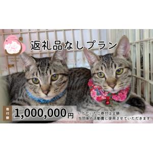 ふるさと納税 保護猫活動を応援！ 返礼品無し 1,000,000円（お礼状送付） 保護猫 福岡県小郡市