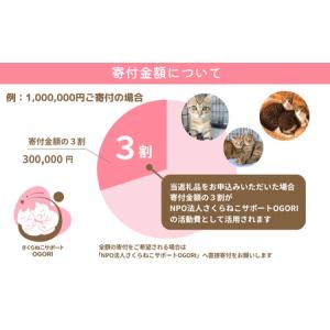 ふるさと納税 保護猫活動を応援! 返礼品無し ...の詳細画像2