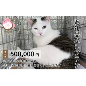 ふるさと納税 保護猫活動を応援！ 返礼品無し 500,000円（お礼状送付） 保護猫 福岡県小郡市
