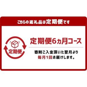 ふるさと納税 【6ヶ月定期便】かけうどん だし...の詳細画像1