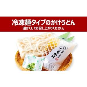 ふるさと納税 【6ヶ月定期便】かけうどん だし...の詳細画像3