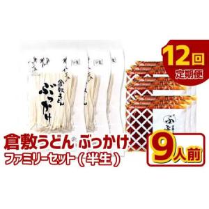ふるさと納税 【12ヶ月定期便】『倉敷うどん ぶっかけ』ファミリーセット(半生) 9人前×12回 うどん 麺類 麺 半生 半生麺 ぶっかけうどん タ.. 岡山県倉敷市