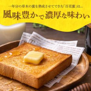 ふるさと納税 【全12回定期便】 対馬 和蜂 ...の詳細画像1
