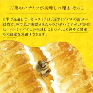 ふるさと納税 【全12回定期便】 対馬 和蜂 ...の詳細画像2