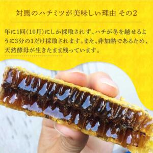 ふるさと納税 【全12回定期便】 対馬 和蜂 ...の詳細画像3