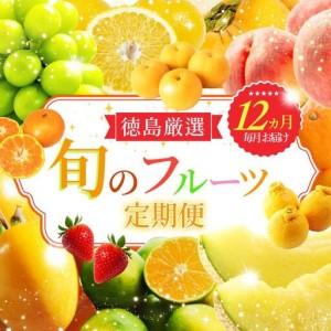 ふるさと納税 フルーツ定期便 12ヶ月 定期 徳島県