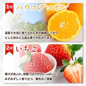ふるさと納税 フルーツ定期便 12ヶ月 定期 徳島県の詳細画像2