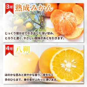ふるさと納税 フルーツ定期便 12ヶ月 定期 徳島県の詳細画像3