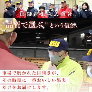 ふるさと納税 フルーツ定期便 12ヶ月 定期 徳島県の詳細画像4