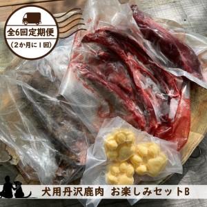 ふるさと納税 【全６回定期便（２か月に１回）】犬用丹沢鹿肉 お楽しみセットB【 犬 いぬ イヌ ペット用 鹿肉 おやつ 神奈川県 山北町 】 神奈川県山北町