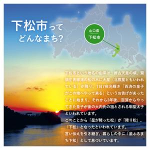 ふるさと納税 凪の島DVD / 映画 記念作品...の詳細画像2