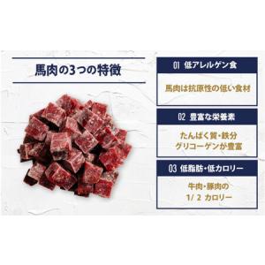 ふるさと納税 【全12回定期便】【犬猫用・ペッ...の詳細画像2