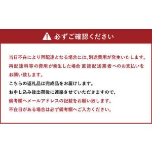 ふるさと納税 Cliffy 6000 椅子 イ...の詳細画像3
