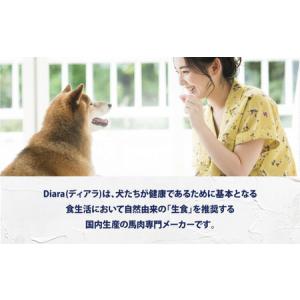 ふるさと納税 【全3回定期便】【犬猫用・ペット...の詳細画像1